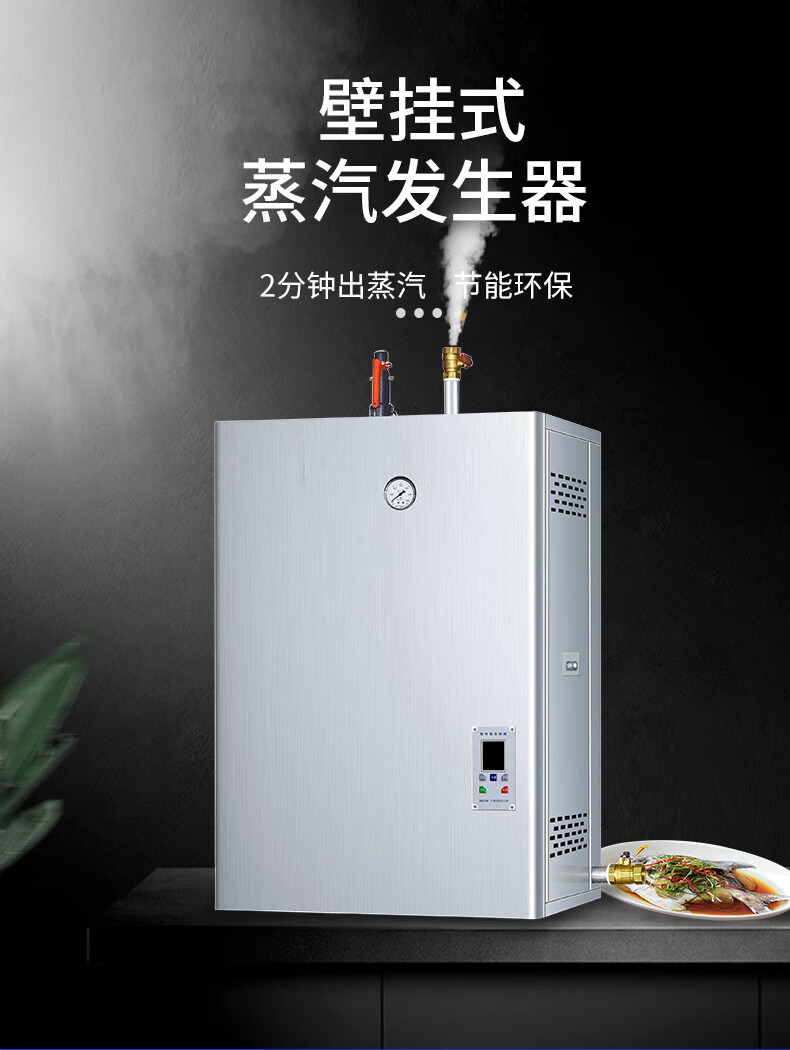驰能燃气蒸汽发生器商用节能蒸包炉蒸柜酿酒煮豆腐智能蒸汽机 电热款