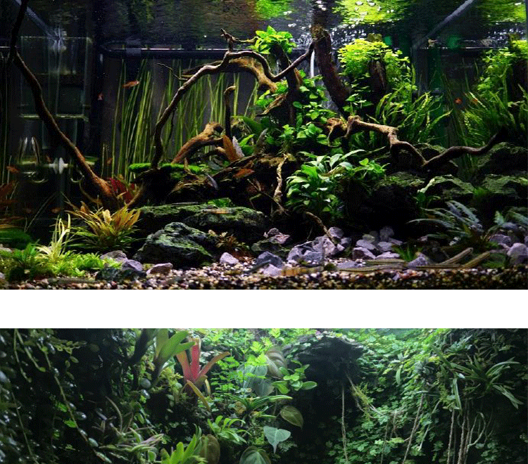 雨林沙原生鱼缸底沙雨林缸水草缸水陆缸造景底沙天然溪沙河石乌黑河石