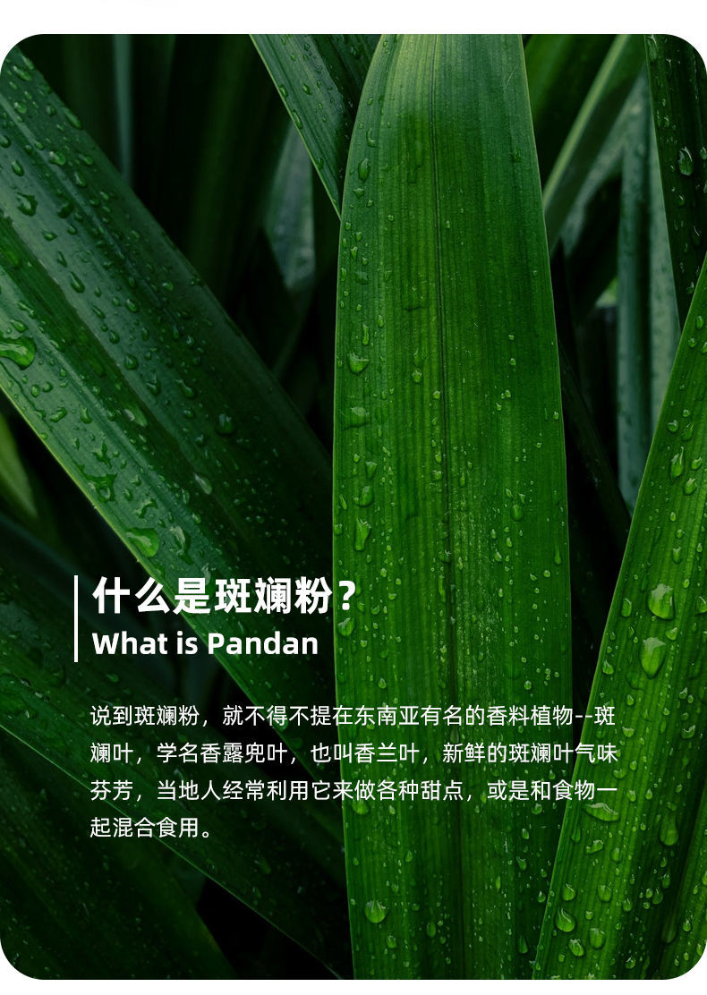 五折 粽香斑斓粉 冻干香兰叶粉斑斓粉烘焙新鲜斑斓叶斑斓糕粉100g 100