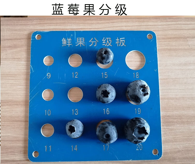 蓝莓鲜果孕妇宝宝直接食用时令水果头茬蓝莓本店4盒装果径1418mm