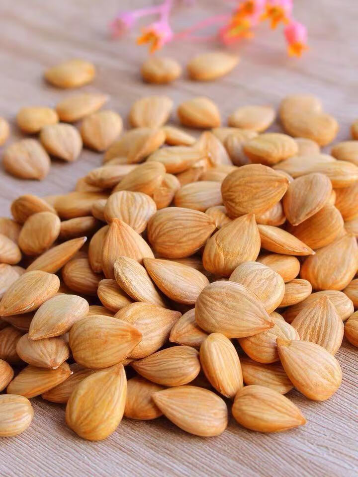 仁原味五香无壳珍珠零食坚果特产休闲食品50g尝鲜款熟甜珍珠银杏仁