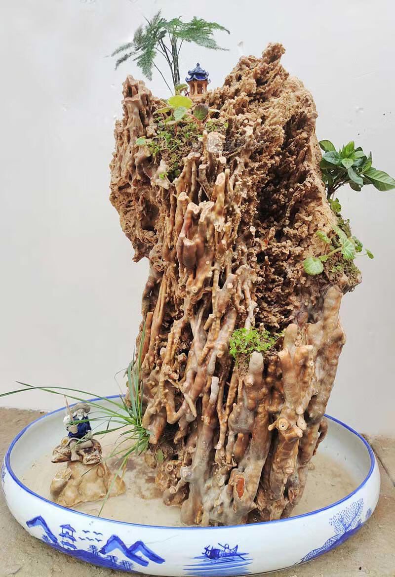 【精选品质】中大型吸水石吸水石原石上水石假山盆景客厅新流水装饰