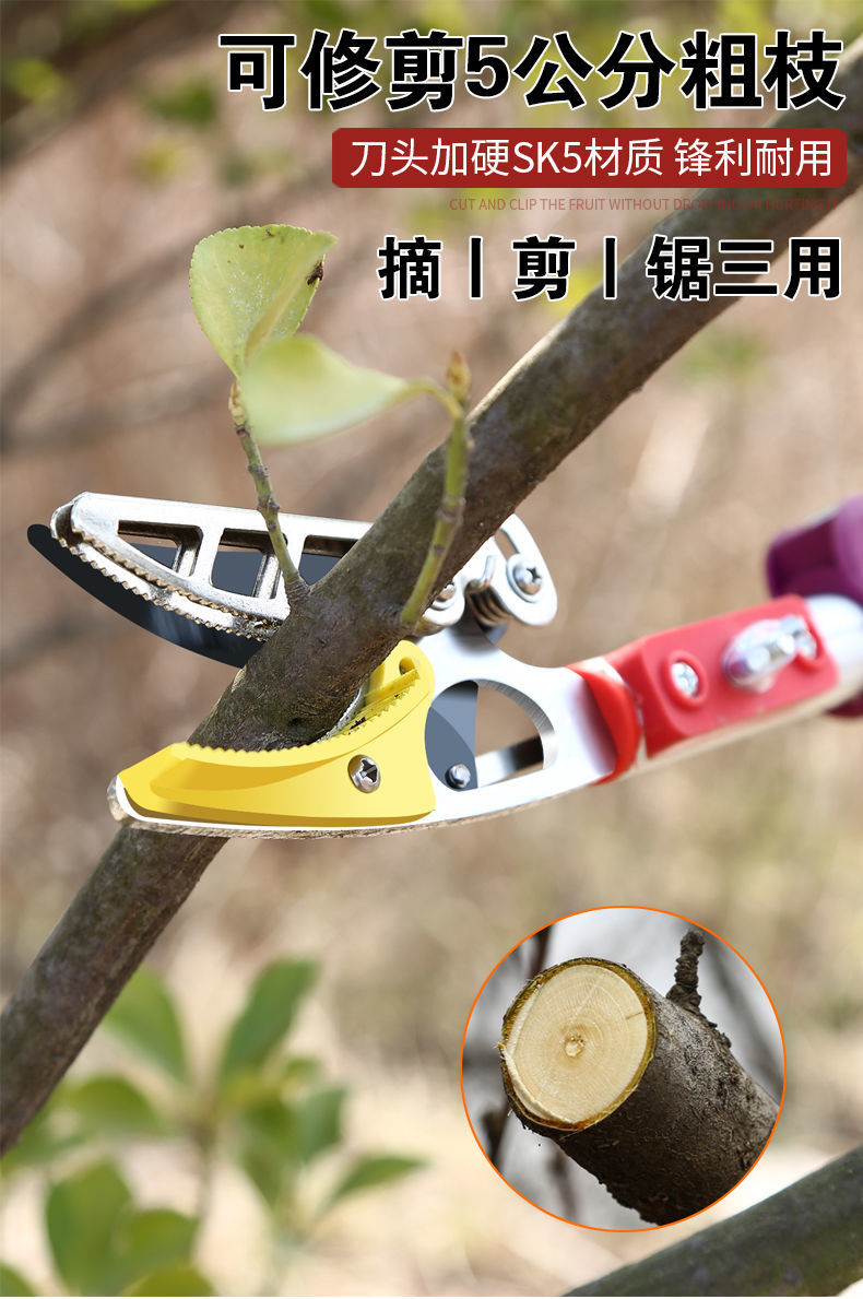 伸缩杆摘果神器园艺剪刀摘果剪果树高空摘果器水果采摘器伸缩十代21米