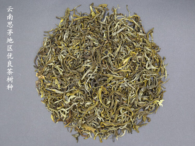 茉莉龙豪 浓香茉莉花茶叶2021年新茶云南茉莉大白毫茉莉花茶龙毫500克