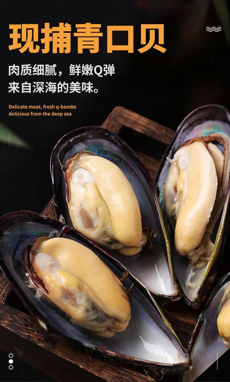 青口贝 鲜活特大青口贝新鲜大海虹淡菜贻贝特大贝类海鲜水产现捕现发