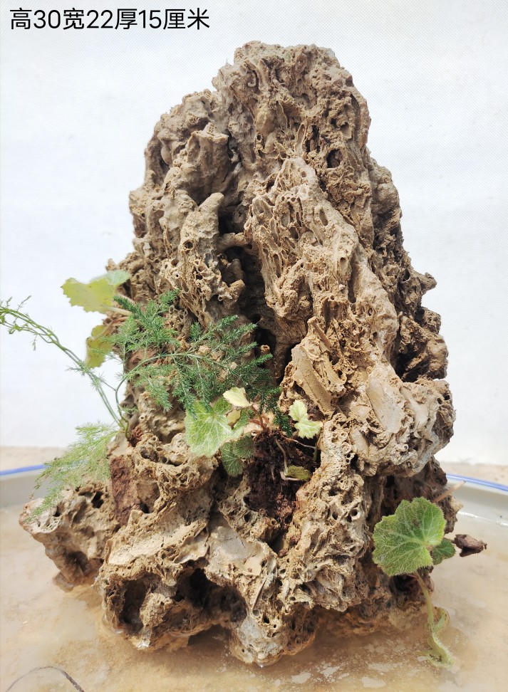 吸水石 风景石上水石假山石头盆景客厅造景石上水石吸水石天然原石 浅