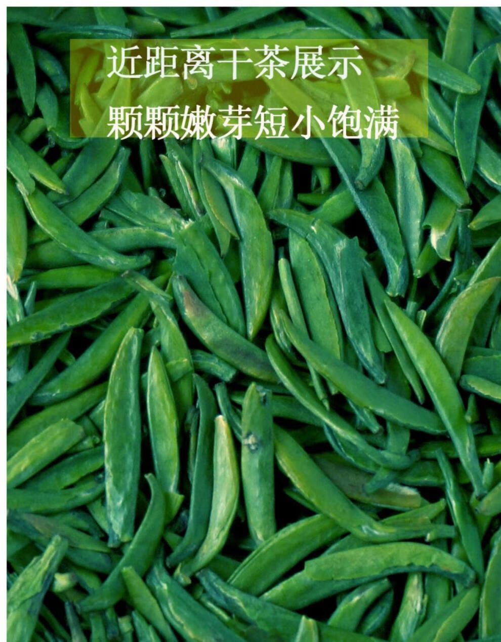 2021早春頭採 明前小米芽 雀舌綠茶 四川雅安 蒙頂山茶竹葉青茶250g