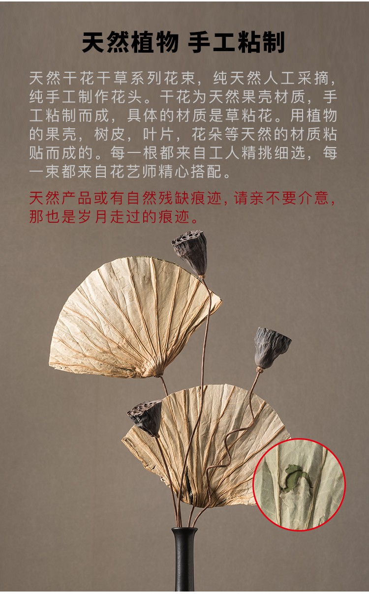 6ef2c331725be6c0.jpg