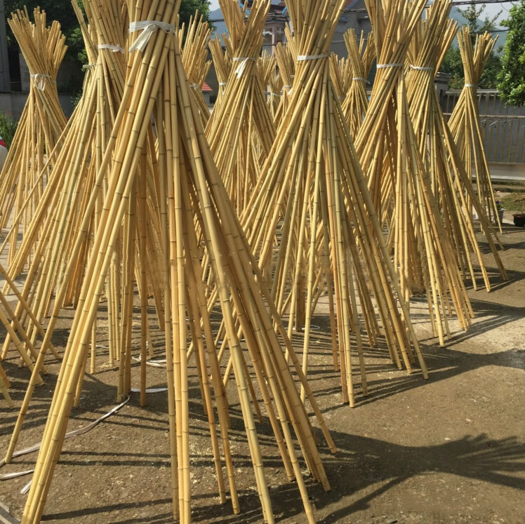 竹竿装饰潢小竹杆菜园搭架子篱笆栅栏菜旗杆阳台植物爬藤花架蓝丽雅