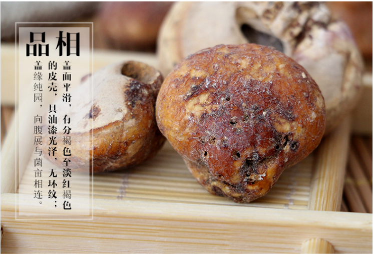 矷山耶香豆白茬耶香豆官网野生耶香根豆椰香豆耶香豆100g送枸杞