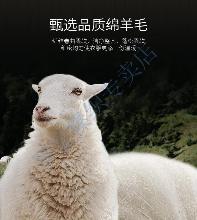 67a6a500147968de.jpg