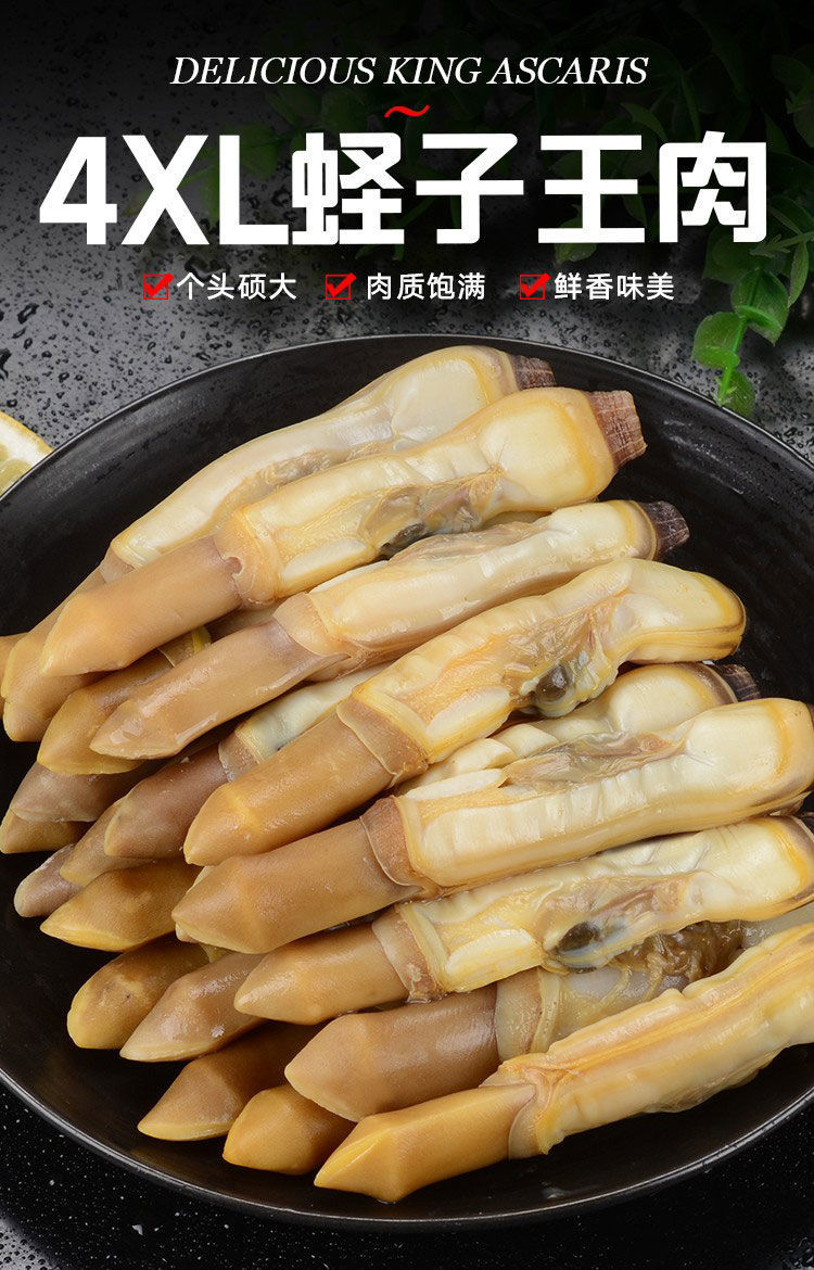 蜜鲜湾 蛏子肉现剥圣干竹蛏子海鲜水产速冻海捕超特大蛏子新鲜蛏子王