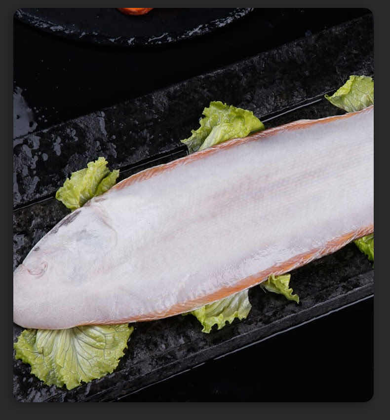 野生龙利鱼4斤超大海捕新鲜舌头鱼速冻带皮龙利鱼