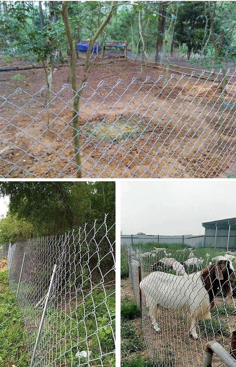 勾花网养殖勾花网镀锌钢丝网护栏户外围栏铁丝荷兰网养鸡圈地防护网