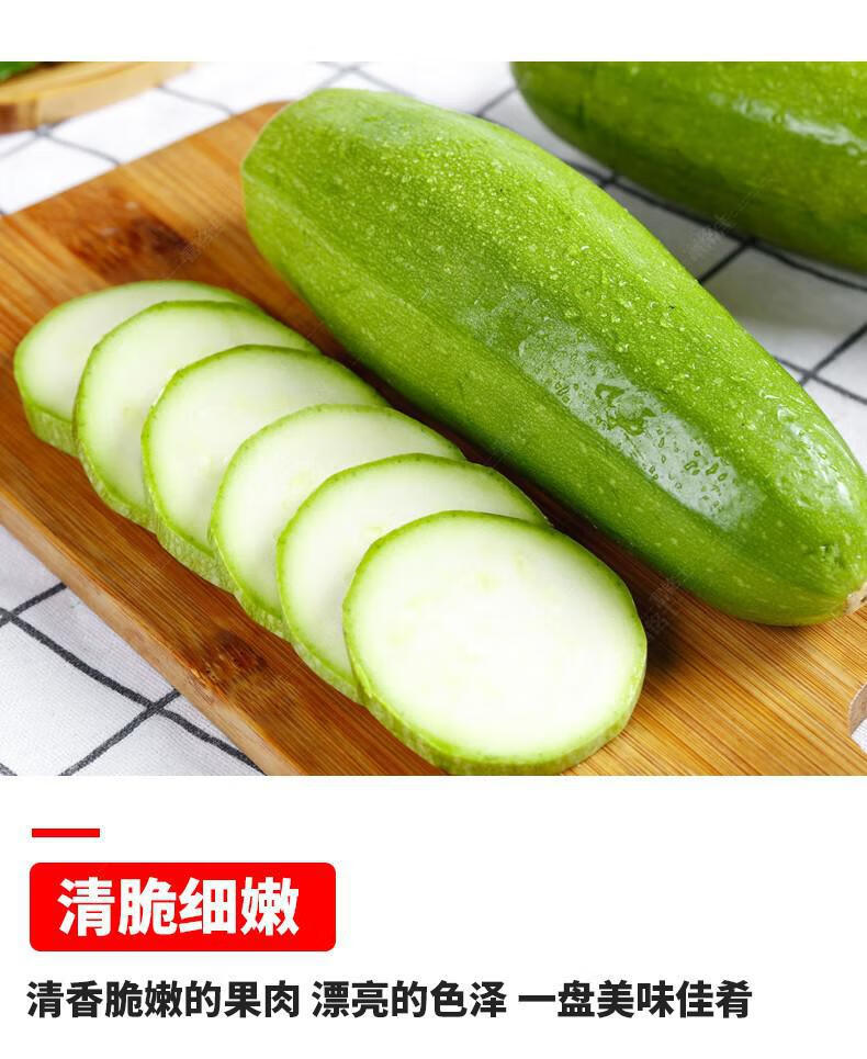 新鲜西葫芦瓜3斤小占瓜当季角瓜农家自种蔬菜5斤
