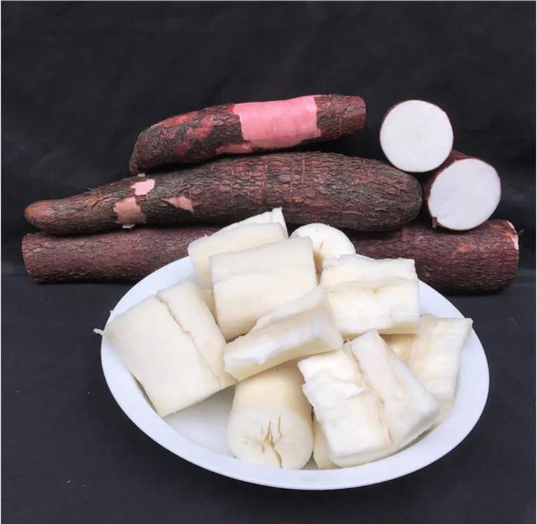 【木薯】海南正宗红皮白肉新鲜木薯自家现挖新鲜黄心板栗薯木番薯 15