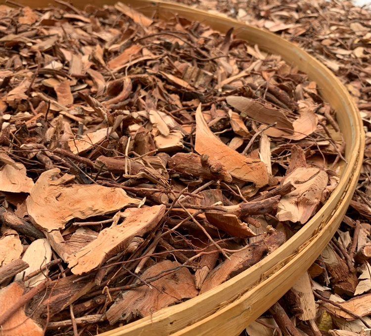 野生桃金娘根纯根新鲜岗稔根乌当泥根当泥根山棯子根500g晒干