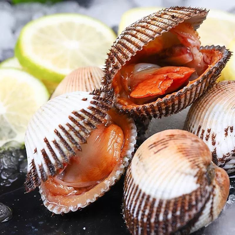 【鲜活毛蚶】新鲜蛤蜊毛蛤血蛤大毛蚶海毛蛤干净无沙贝类批发香津驿站