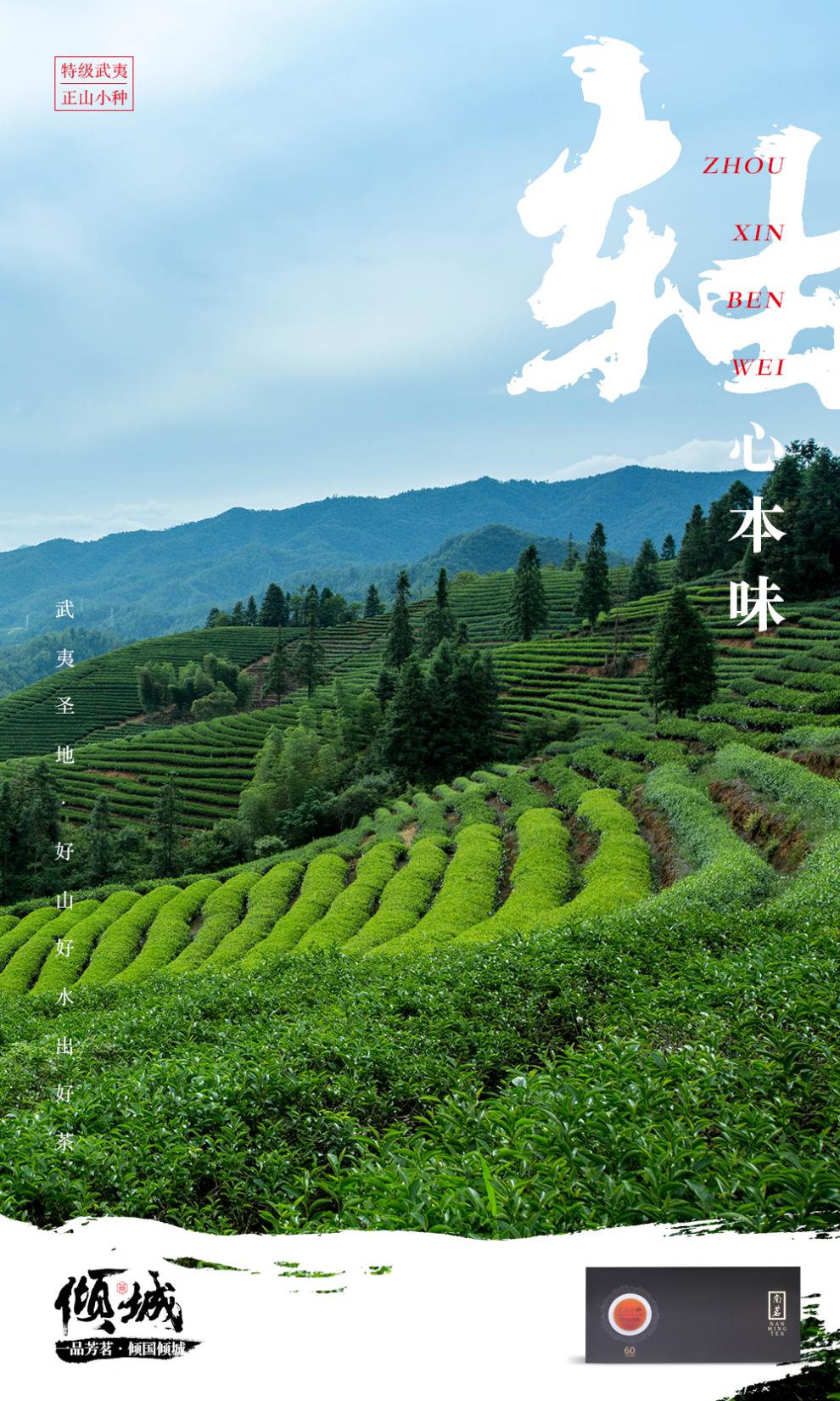 文武香贵正山小种特级红茶茶叶礼盒装武夷山桐木关盒装小盒茶袋装南茗