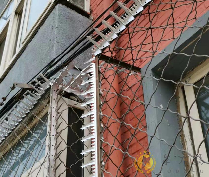 围墙刺钉防爬刺304不锈钢防盗刺钉别墅围墙防盗刺刺绳刺网强刺虎雀304