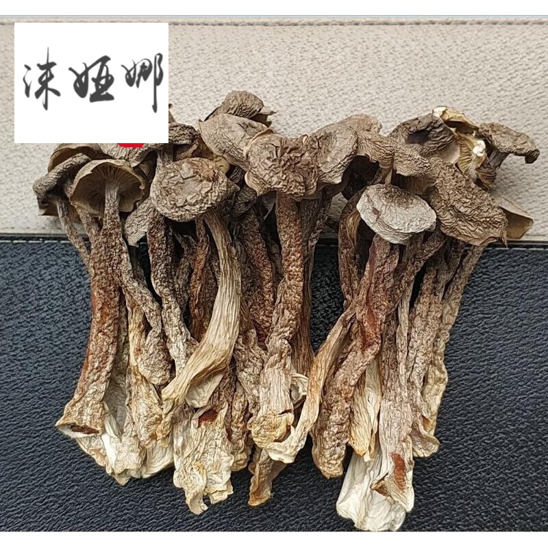 雲南特產鹿茸菇乾貨500g鹿茸菌蘑菇幹菌子燉湯食用菌菇類煲湯