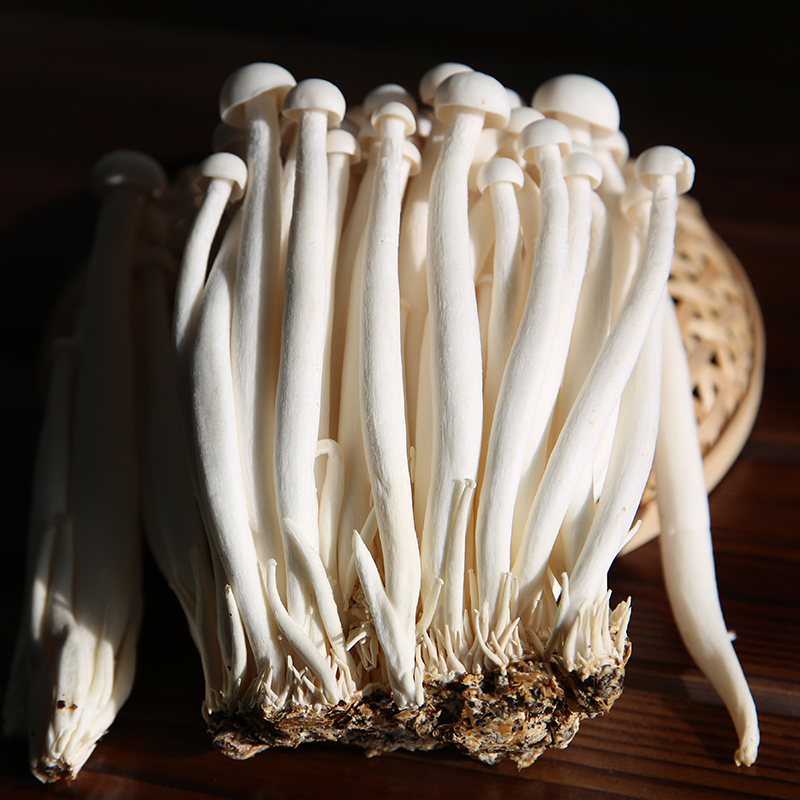 海鲜菇 白玉菇 蘑菇 菌菇 烹饪煲汤蔬菜烧烤油炸火锅食材 1斤