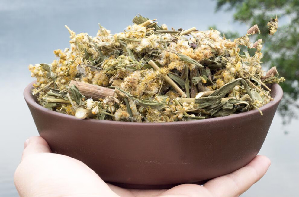 一枝黄花野生农家一支黄花新鲜采收草药老虎尿中药材干贵州