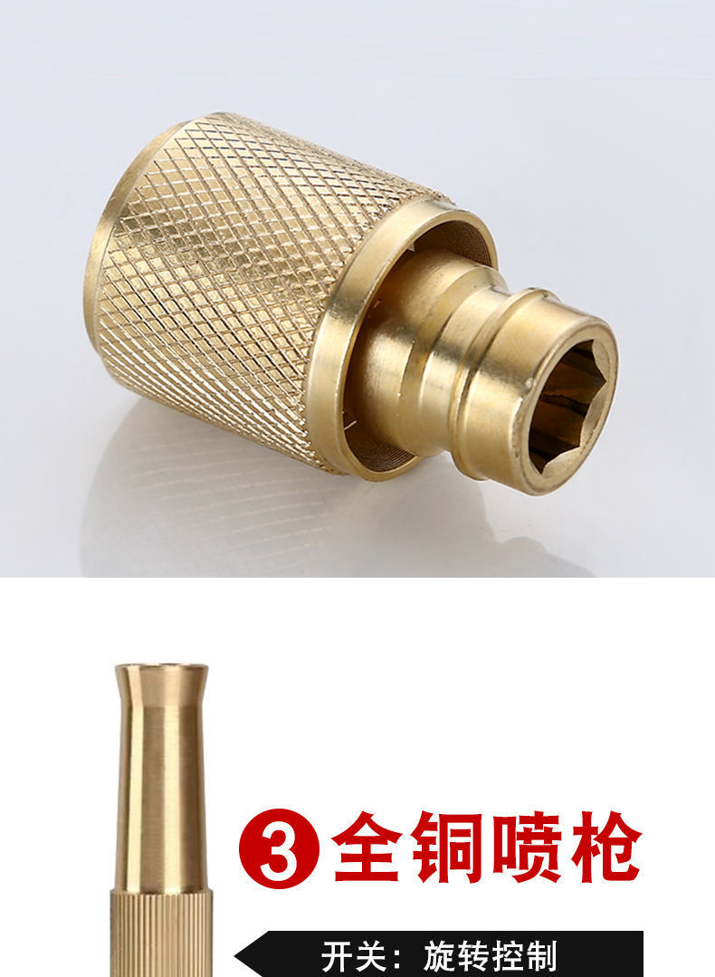 喷枪浇花菜灌溉园林工具洗车神器接头高压喷枪全铜四分接头洗车套餐