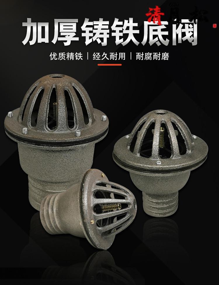 水泵止回阀加厚铸铁铁底阀汽油机抽水泵柴油机过滤龙头莲蓬头 3寸80mm