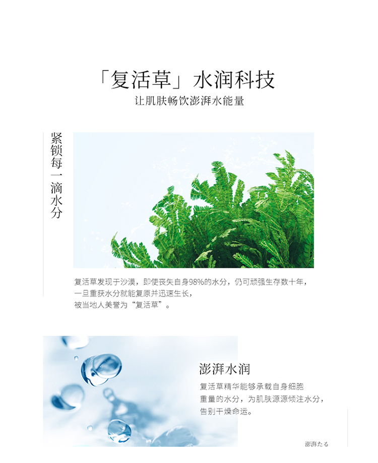 日本进口 Bb LABORATORIES复活草面膜水洗式膏状面膜175g 补水保湿 修护肌肤 复活草面膜175g