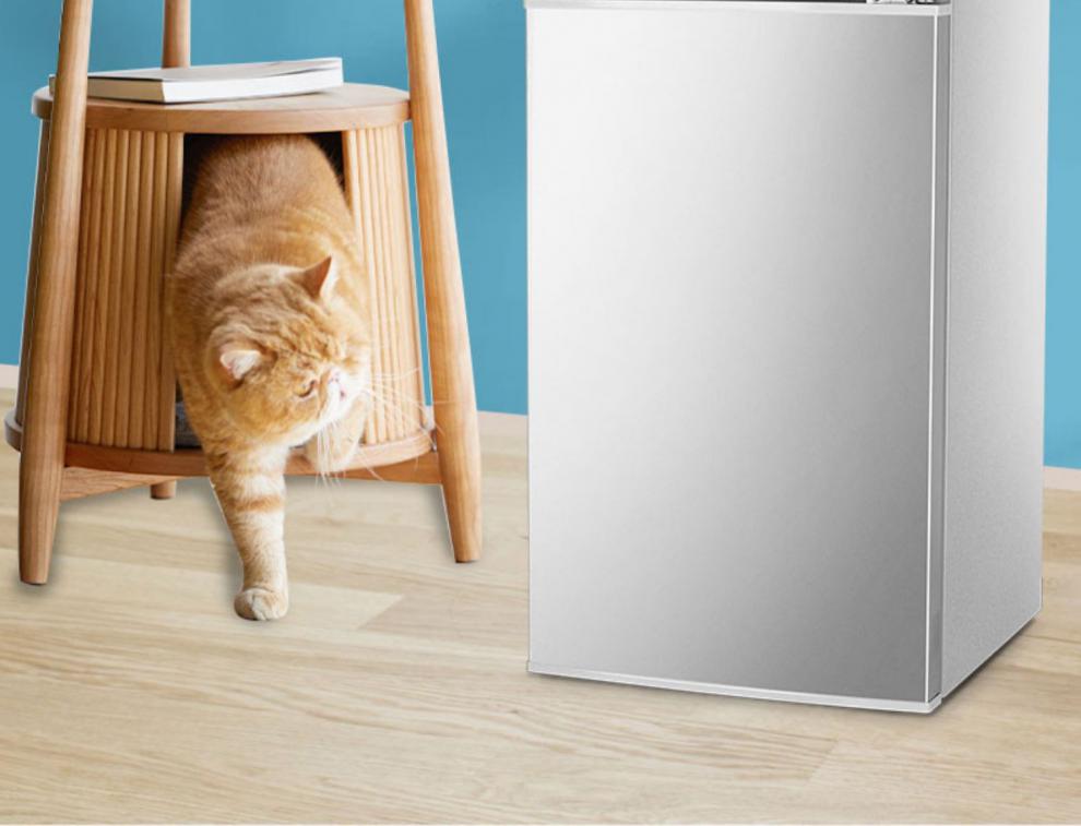 北极熊小冰箱家用一级节能冷藏冷冻宿舍迷你租房静音电冰箱圈厨 宓蝶