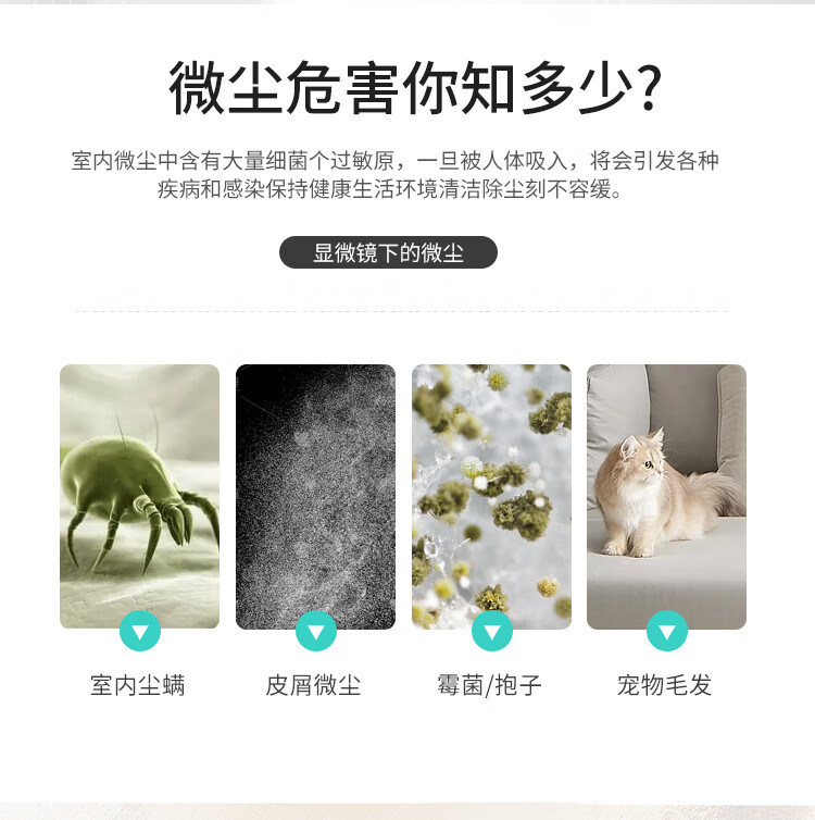 128bd02b254fe5ff.jpg