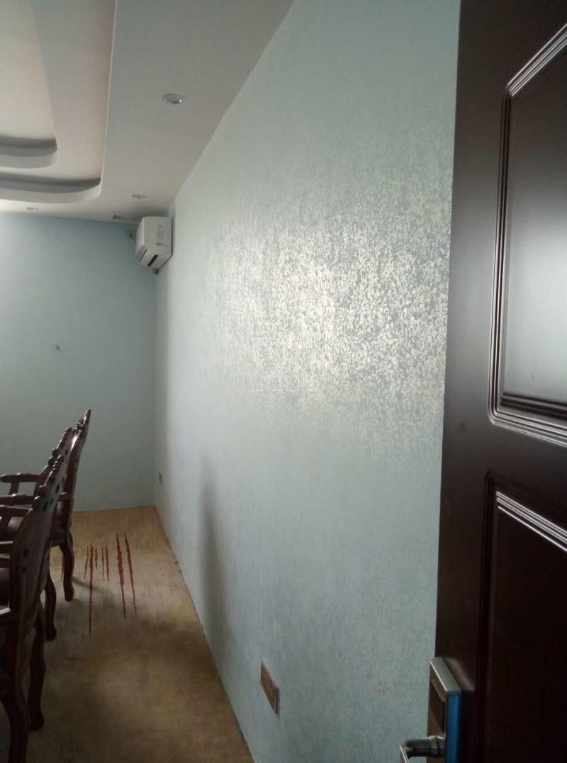 艺术漆幻彩漆 亮光金银泊天花油漆艺术幻彩漆广东厂家三色珠光漆 香槟