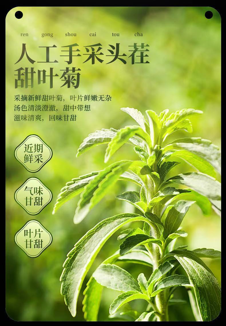 甜叶菊 甜菊叶 甜菊叶茶 甜菊叶 甜菊叶【500