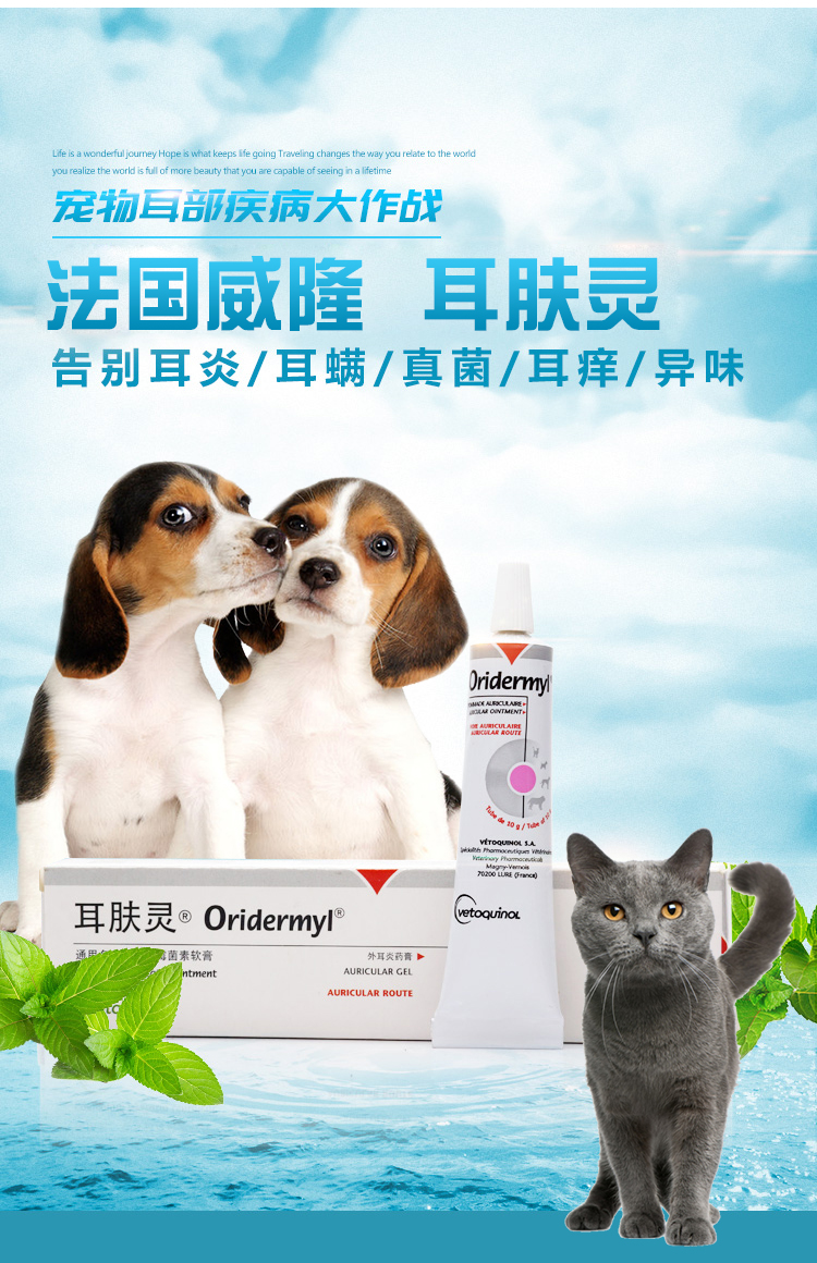【顺丰速运】法国威隆耳肤灵行货犬猫宠物滴耳耳螨耳炎真菌检验 防伪