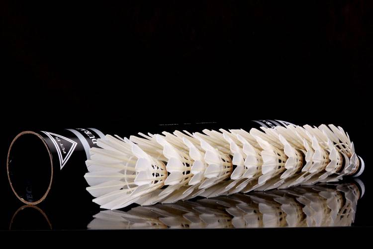 华幻五桶黑威肯羽毛球羽毛球耐打驼背毛片耐打77速紫威