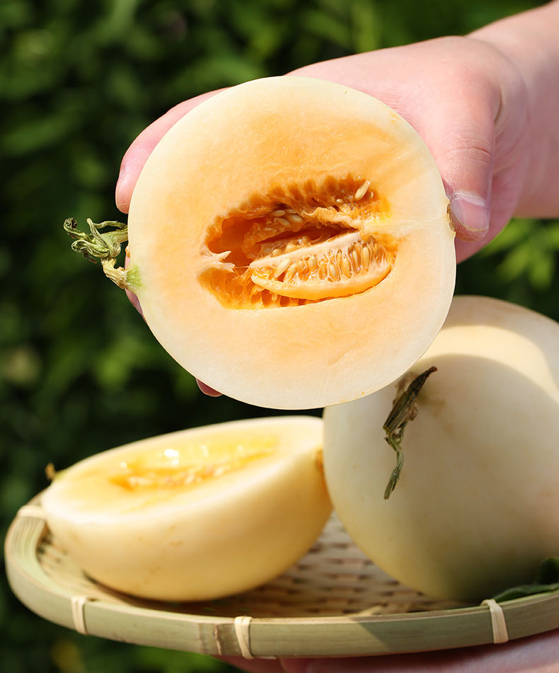 陕西阎良甜瓜当季水果新鲜小密瓜香瓜羊角脆甜蜜瓜 8斤【图片 价格