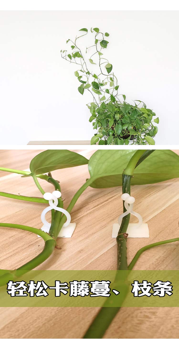 利比尔绿萝爬墙固定神器月季蔷薇室外卡扣夹绿植藤蔓爬藤固定器墙上