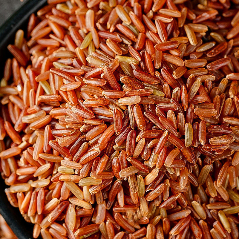 新米大米红米五谷杂粮糙米农家自种健身粗粮一份红大米红米1斤250克x2