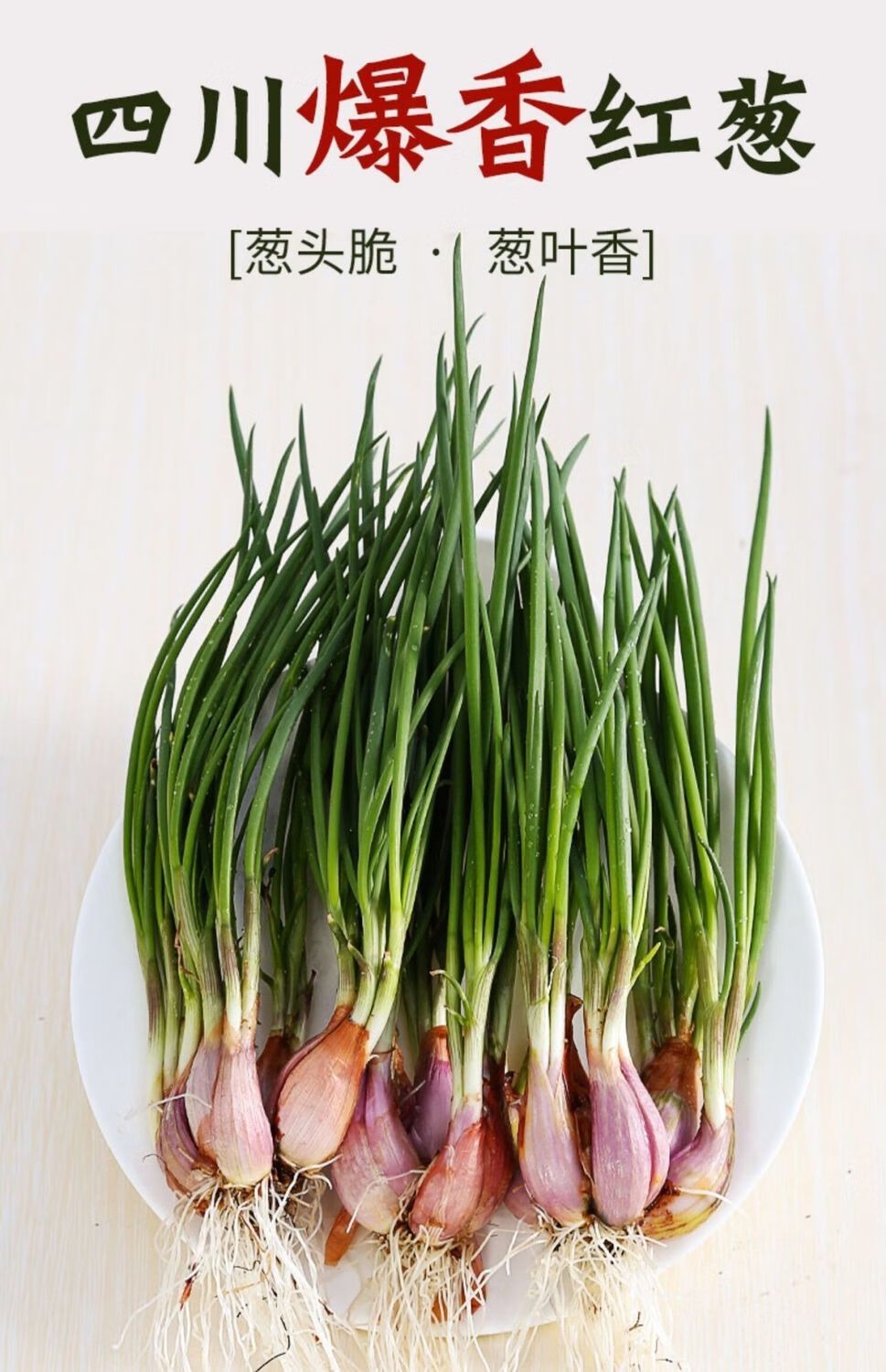 四川农家新鲜红葱头种子盆栽小葱头火葱油葱 四川四季香葱头(黄葱头)