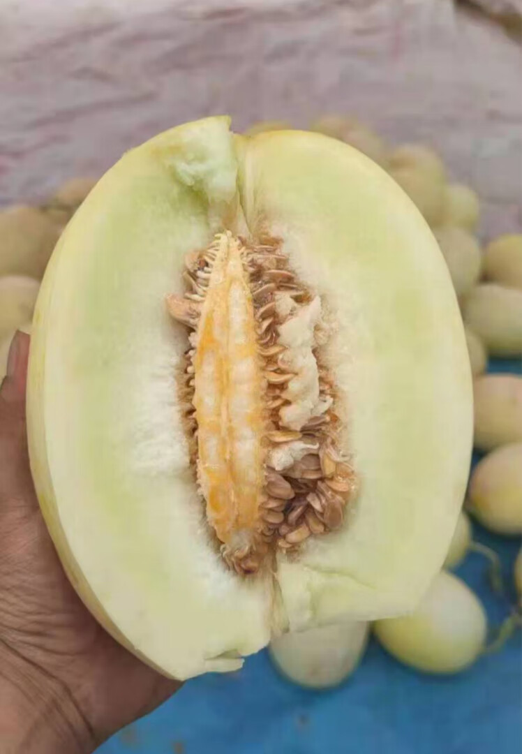 甘肃兰州特产青白石白兰瓜银蒂甜瓜蜜瓜黄河蜜当季水果 8斤【图片