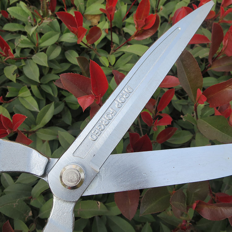 原装省力锻造绿篱笆剪绿化黄杨修造型家用花园草坪平剪刀 刘盛219f