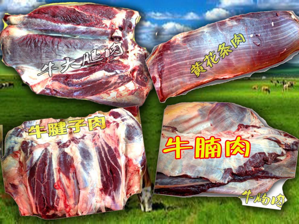 内蒙古呼伦贝尔海拉尔南屯牛肉生鲜牛腩肉牛里脊牛胸口上脑牛大腿肉5