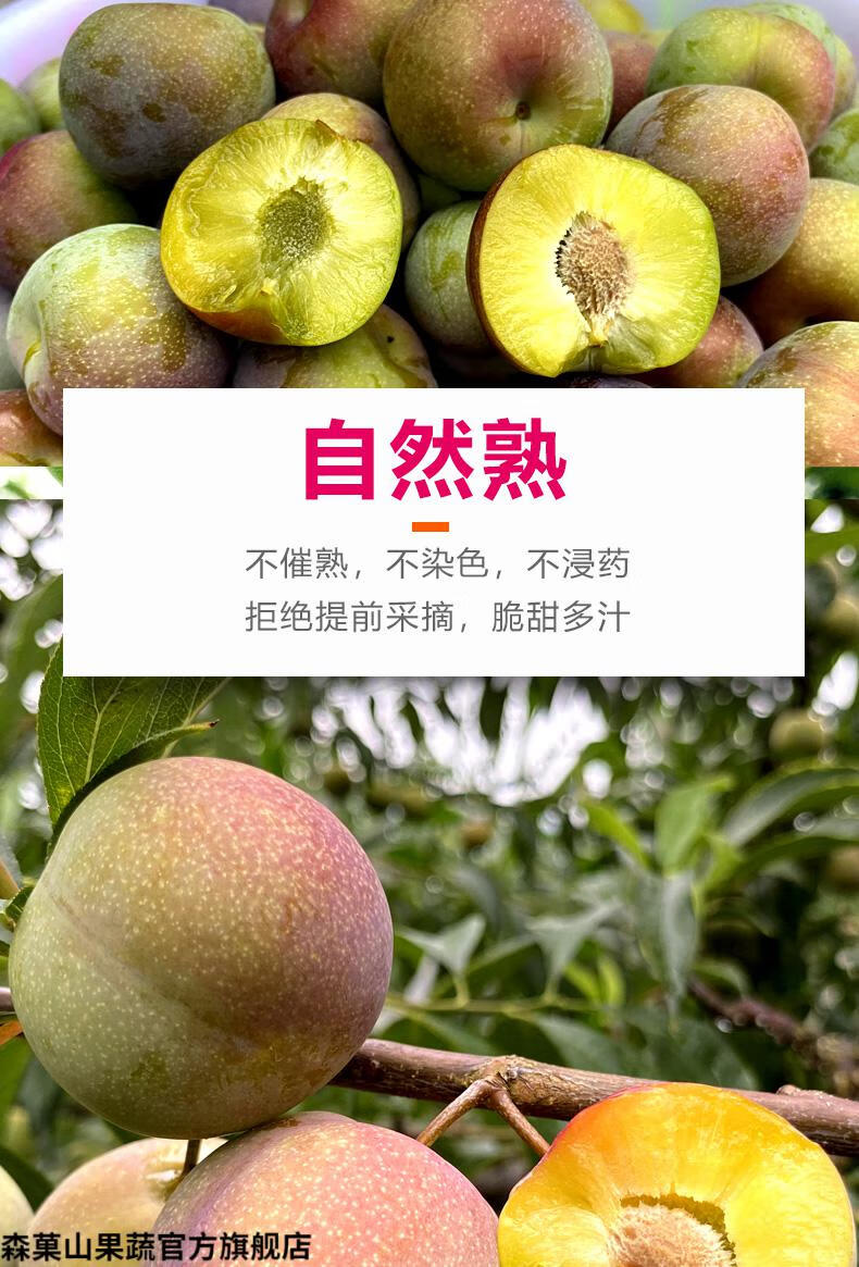 四川半边红脆李 李子新鲜水果脱骨李子脆甜茵红李