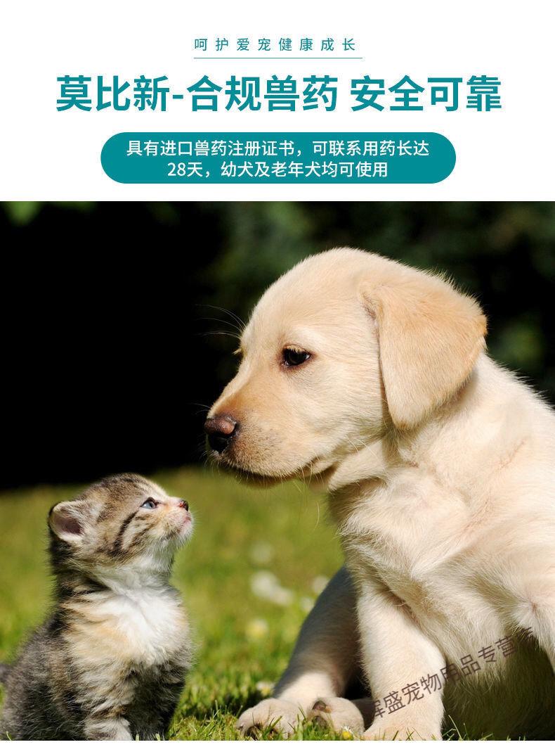 汉维宠仕莫比新宠立维药猫鼻支宠物狗癣泌尿感染 宠立维300mg一板共7