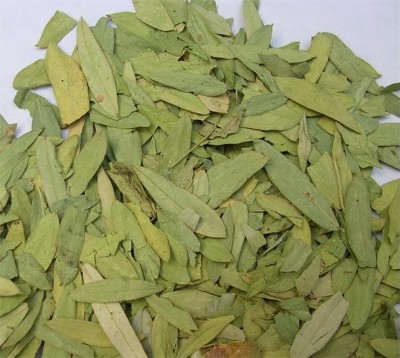 中药材番泻叶泻叶润天然番泄叶蕃泻叶500g 一件