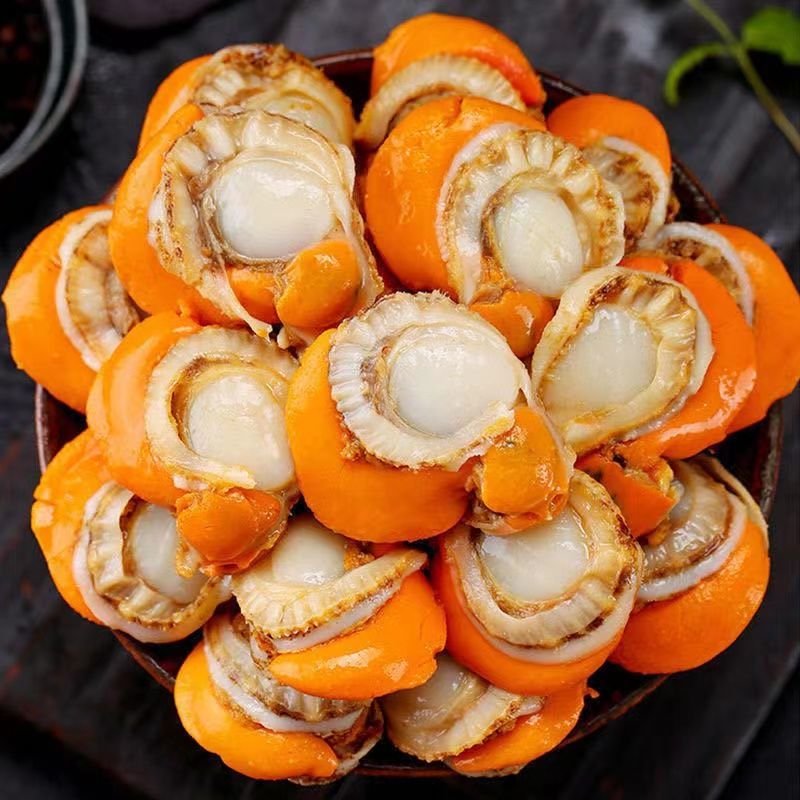 现剥特大号扇贝肉带黄去壳 鲜货无冰衣海鲜 【北城红贝】特大号扇贝肉