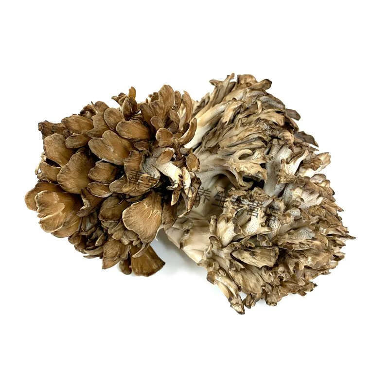 杞里香 中药原材灰树 花舞茸 灰树菇 灰树花 无硫新货 50 克