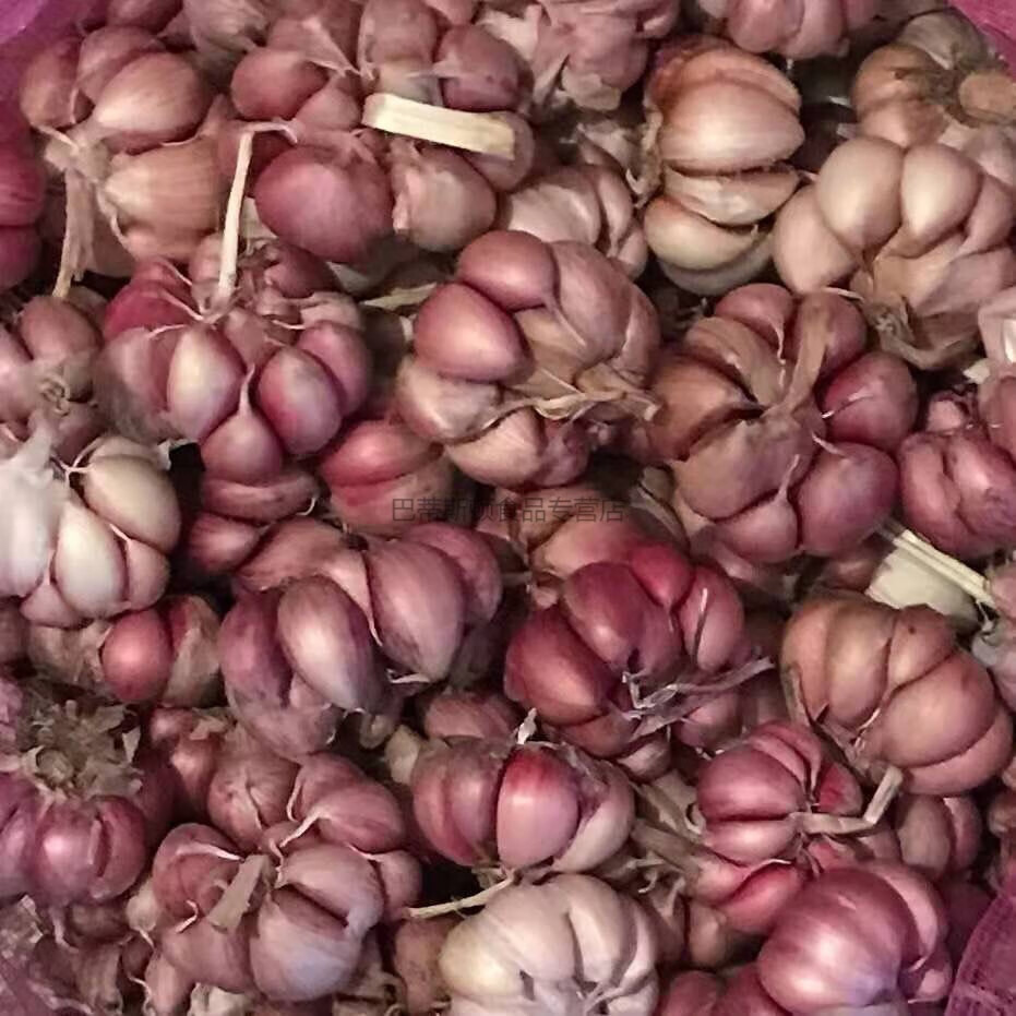 云南紫皮大蒜农家新鲜红皮干蒜毛蒜带箱现挖土蒜多瓣21年香5斤香蒜