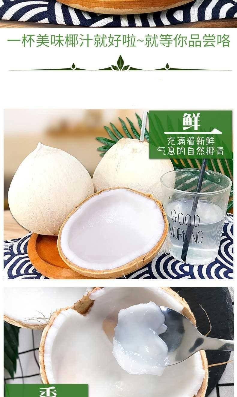顺丰空运海南牛奶椰子椰皇小奶椰香甜水果新鲜采摘现货速度送人送礼